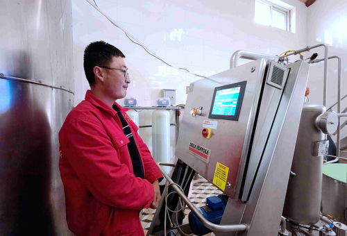 探秘中國葡萄酒第一鎮(zhèn) 技術咨詢如何助力產區(qū)騰飛